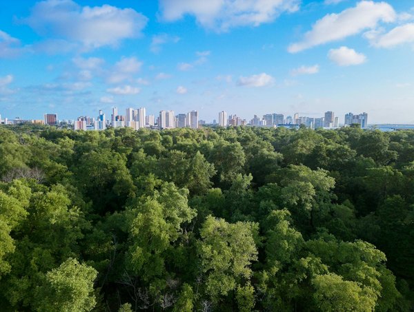 Quelles sont les étapes pour obtenir une certification en gestion de la qualité ISO 9001 ?