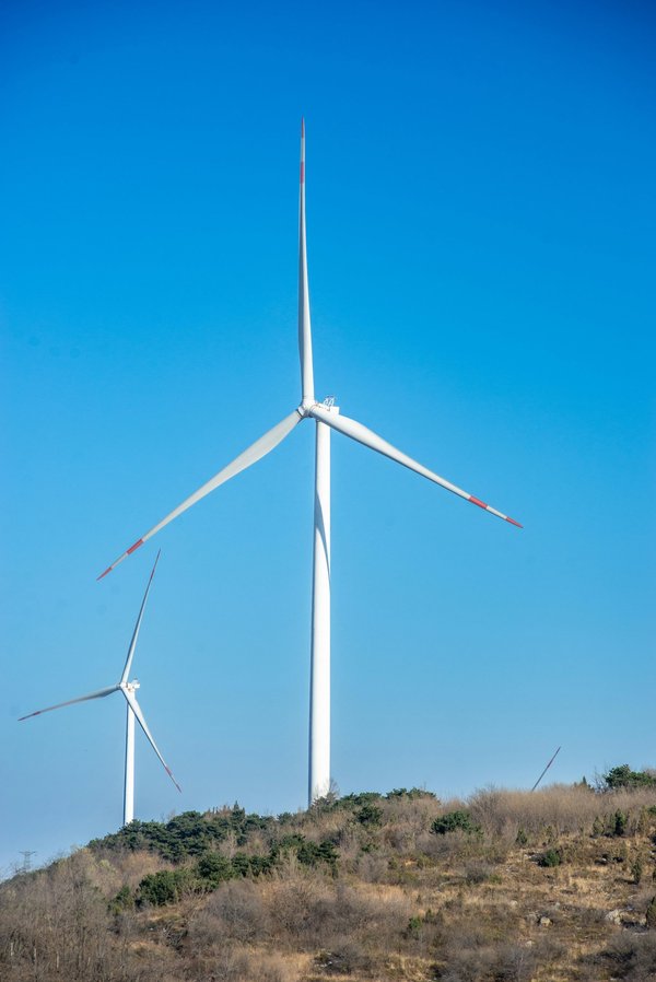 Transition énergétique : les avis clients qui font la différence